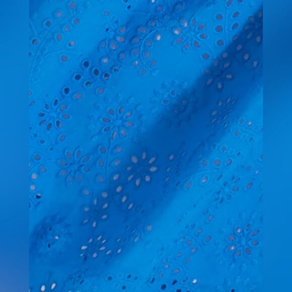 NWT Draper James Evelyn Short Sleeve Button Front Top in Eyelet Royal Blue - Picture 4 of 8